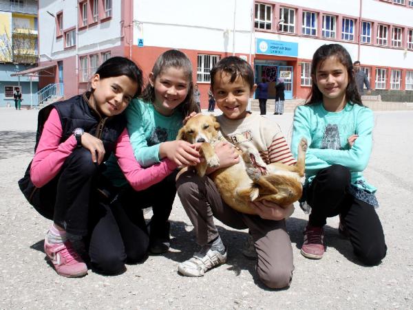 Arkadaşlarıyla yaralı bulup, tedavi ettirdiği köpeği sahiplendi