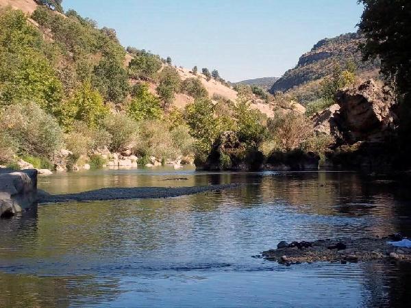 Çevrecilerden Silvan Barajı'na karşı eylem çağrısı