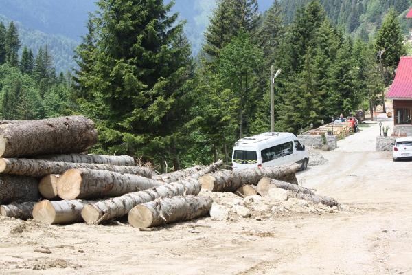 Rizelinin Yeşil Yol öfkesi (3)
