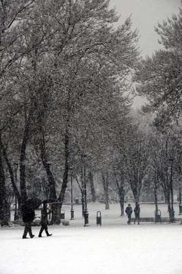 Gaziantep'te kar yağışı (2)