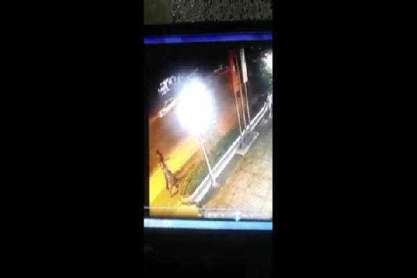 Kontrolden çıkan otomobil, kaldırımdaki 3 gence çarptı: 1 ölü, 2 ağır yaralı...