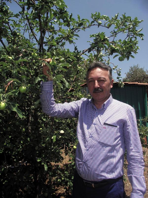 Organik huzur