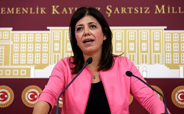 HDP'li Beştaş: RTÜK üyeliği seçiminin iptali için AYM'ye başvuracağız