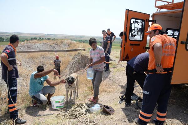 Diyarbakır'da 30 metre derinliğinde kuyuya düşen köpeği AFAD kurtardı