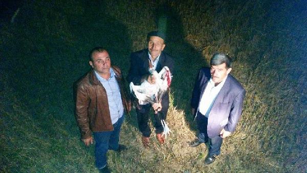 Çorum'da ağaçta asılı kalan leyleği itfaiye kurtardı