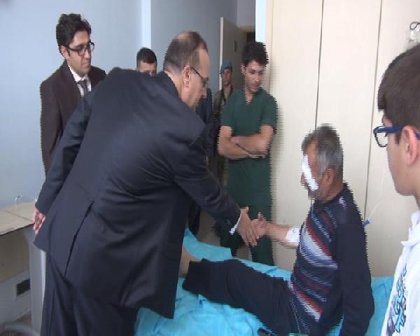 Hakkari'de arı saldıran vatandaş hastanede tedaviye alındı
