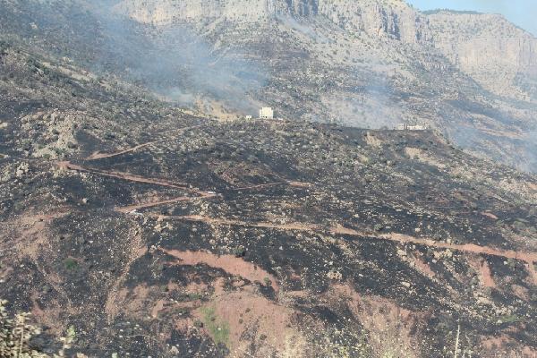 Cudi Dağı'ndaki yangın devam ediyor