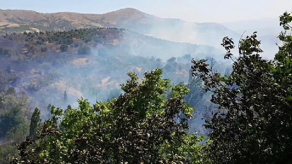 Malatyada kayısı bahçelerinde yangın