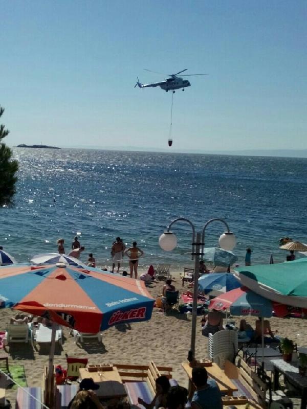 Avşa Adası’nda çöplükte çıkan yangın zeytinliklere sıçradı
