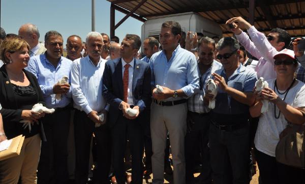 CHP'li milletvekilleri Suriye sınırında barış güvercini uçurdu