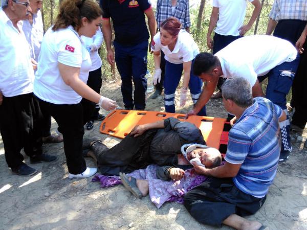 Kestiği ağacın altında kaldı