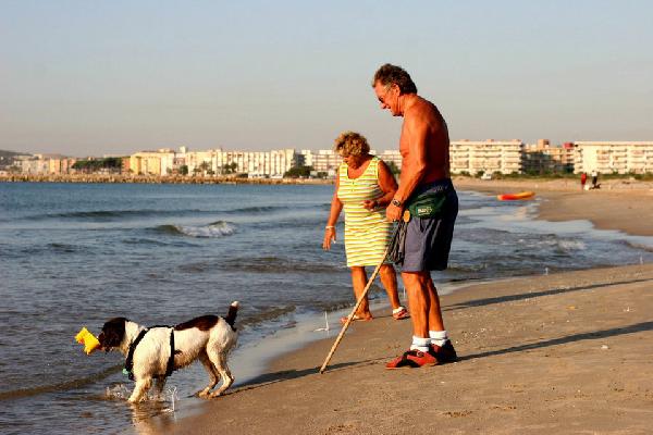 Barcelona’daki plaja sadece köpekler girebilecek