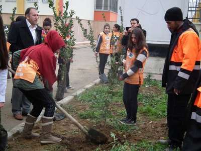 Öğrenciler okul bahçesine fidan dikti