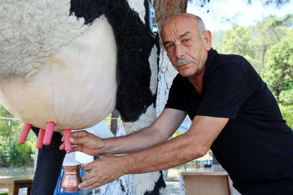 Parayla süt ve ayran veren inek otomatı