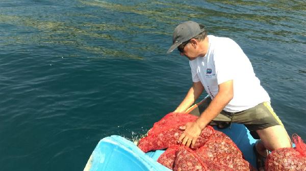 Keşan’da 1 ton kaçak midye ele geçirildi