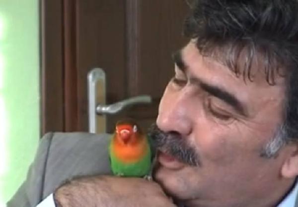 Kargayı da eğitti