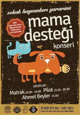 Bu konsere kedi ve köpek mamasıyla girilecek