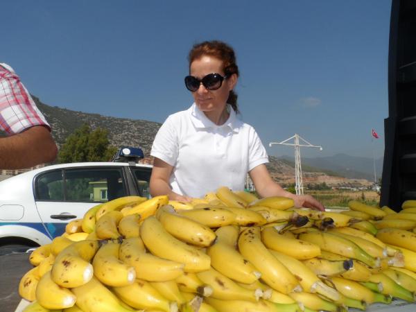 Anamur'da muz festivali
