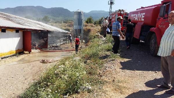 Çorum’da tavuk çiftliği yandı
