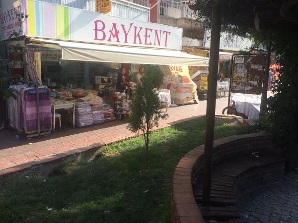 Köpek, çocuğun kulağını kopardı