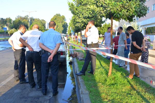 Otomobilinin yanında cesedi bulundu