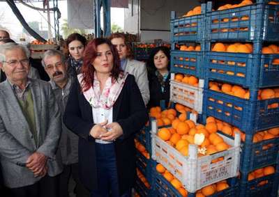 Belediyeden, Aydınlı portakal üreticisini sevindiren satın alma