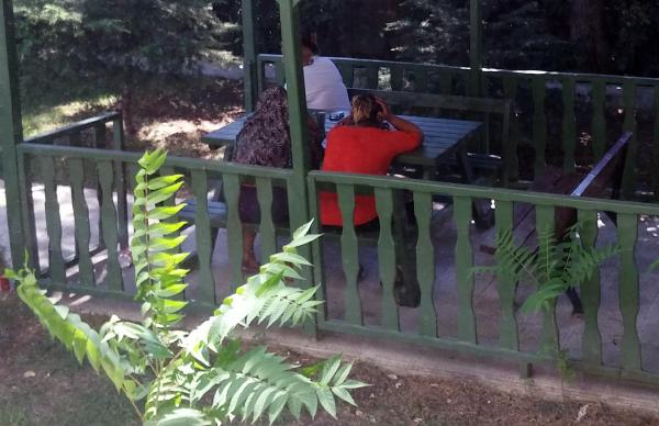 Edirne'de otostopla fuhuşa 3 gözaltı