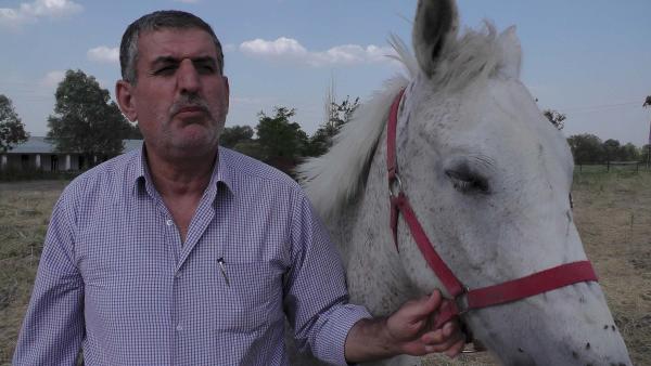 Muş Ovası'ndan hipodroma