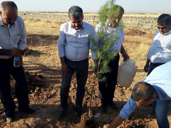 Suruç'ta SGDF'li gençler anısına orman
