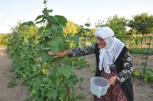 103 yaşındaki Fatma Nine'nin sırrı organik beslenme