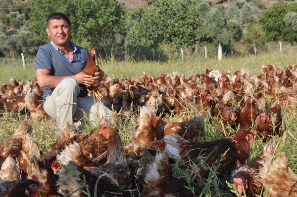'Özgür tavuklar'ın yumurtasını 'Gagak' markasıyla sofraya taşıdı