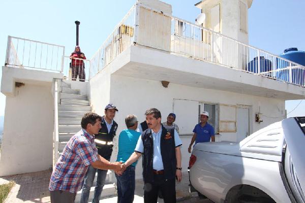Akbaba çifti, 26 yıldır 'duman avcılığı' yaparak ormanları koruyor