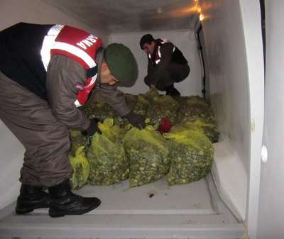 Kamyonette 1 ton 325 kilo kaçak midye ele geçirildi
