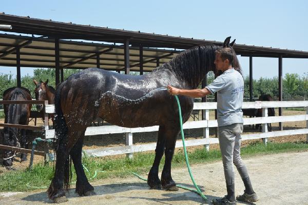 Bursa’da bunlatan sıcak