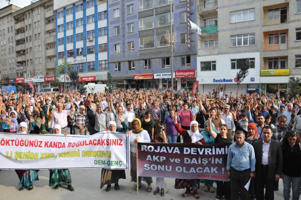 Hakkari'de DBP ve HDP'liler, PKK'ya operasyonu protesto etti