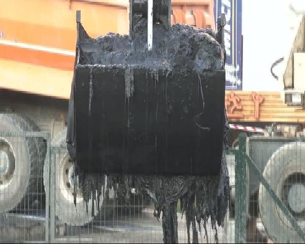 Kadıköy Kent Dayanışması'ndan Kurbağalıdere eylemi