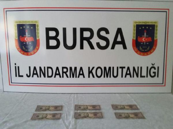 Çevirmeyi görünce sahte dolarları atıp kaçmak istediler