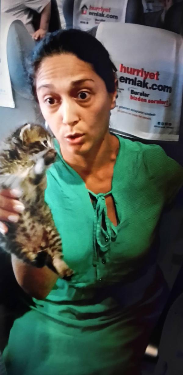 Feribotta yavru kedi tartışması, İDO görevlisine alkışlı protesto