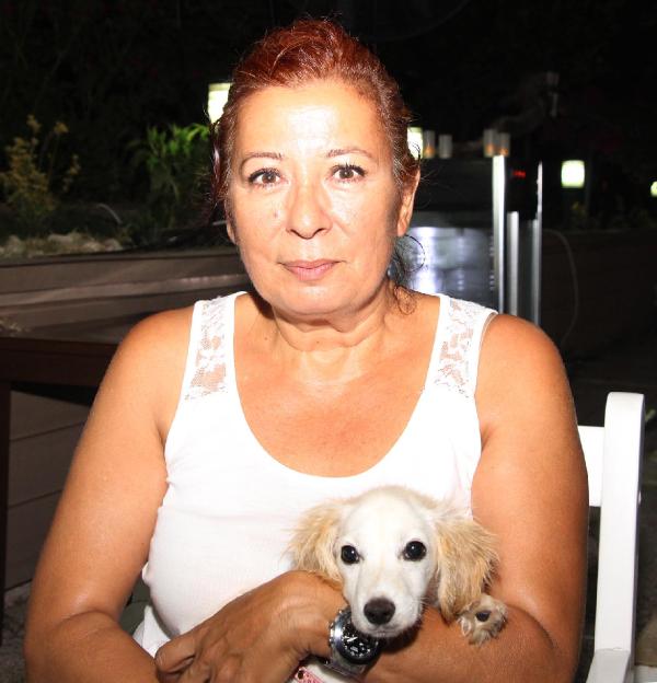 Köpeklere şiddet kamerada