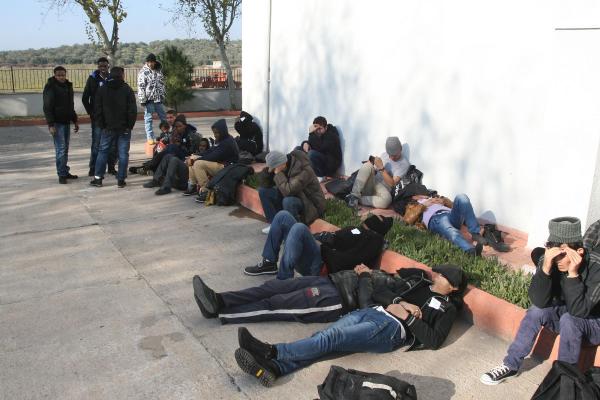 Ayvalık'ta iki günde toplam 400 kaçak yakalandı