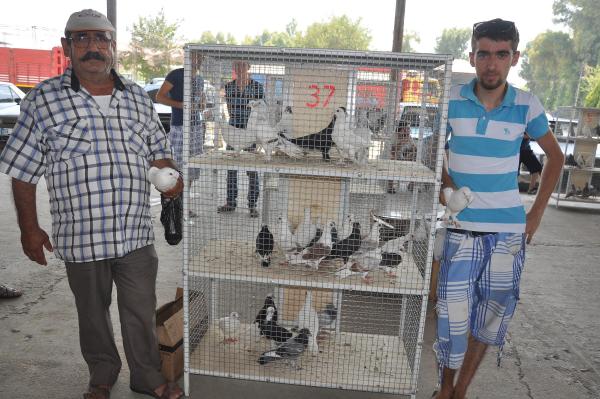 Güvencin sevenler her pazar İncirliova'da buluşuyor