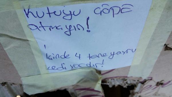 Bomba sanılan kutudan yavru kedi çıktı