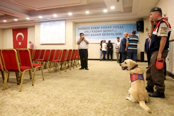 Bahçeli, elini öpmek isteyen partiliyi zor ikna etti