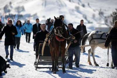 Uludağ'da atlı kızak yarışmasında, atlar kara saplandı