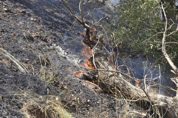 Cudi Dağı'nda geçici güvenlik bölgesindeki yangını söndürmek için vatandaşlar seferber oldu