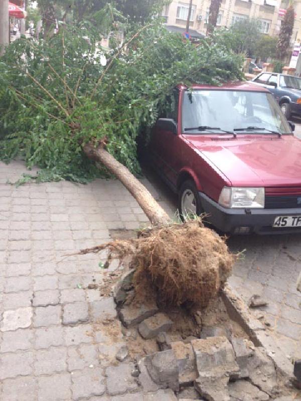 Turgutlu'da şiddetli rüzgar hayatı olumsuz etkiliyor
