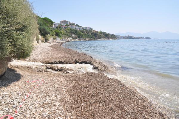 Kuşadası'nda iki plaj kirlilik yüzünden kapatıldı