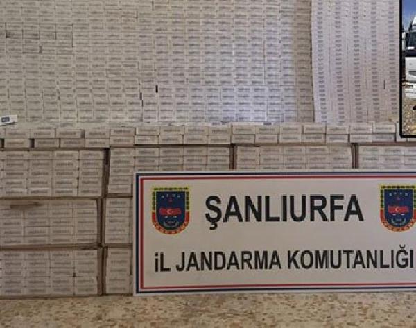 TIR'da 35 bin paket gümrük kaçağı sigara ele geçirildi