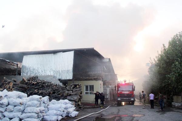 Şanlıurfa’da 2 iş yerinde çıkan yangında 150 ton odun kül oldu