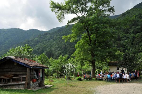 Sedir ağacının gölgesinde 'yeşil yol' sempozyumu: Yeşil yolla piknik turizmi gelişir
